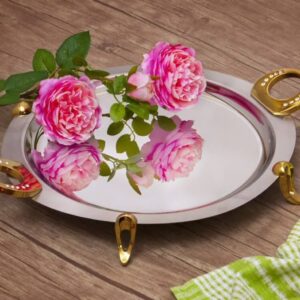 سافینوکس سینی گرد دو رنگ نگین